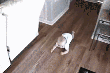 timg.gif