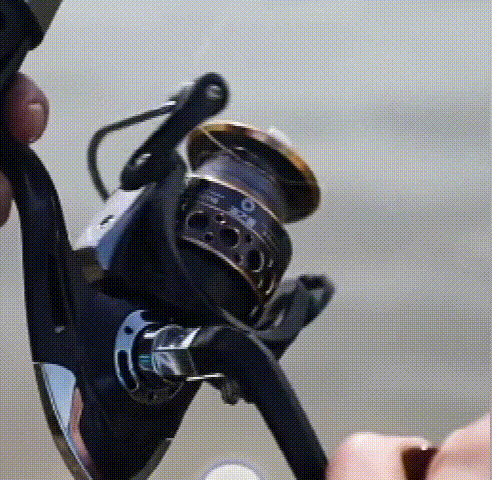 SVID_20220928_111313_1.gif