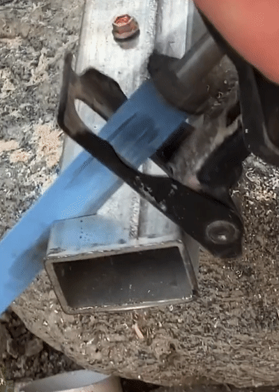 12.gif